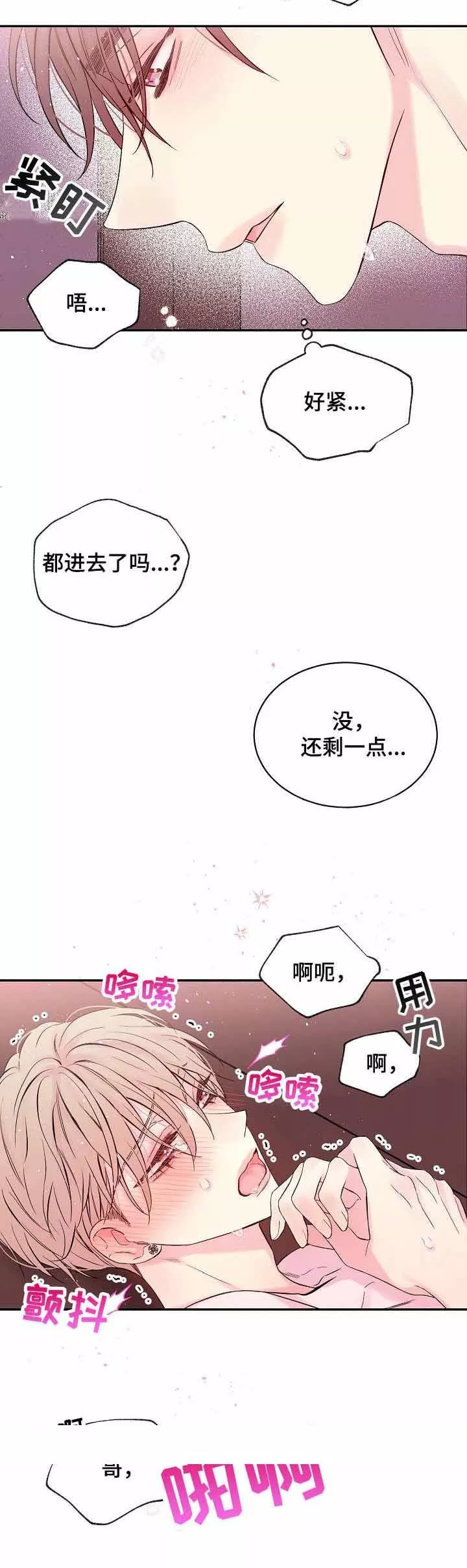 星光下的吻18话