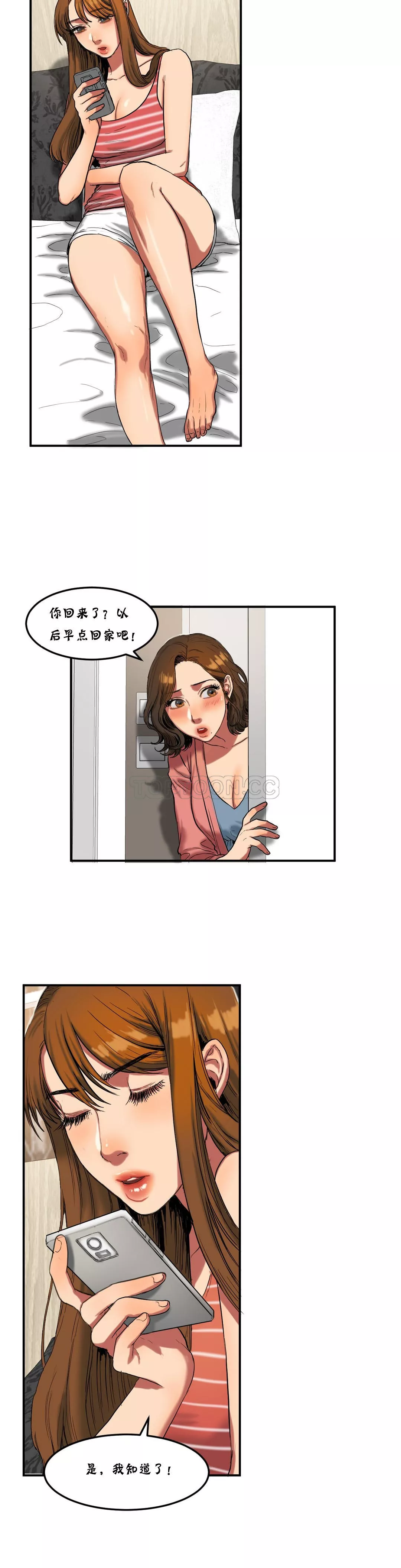 夫人的礼物第25章