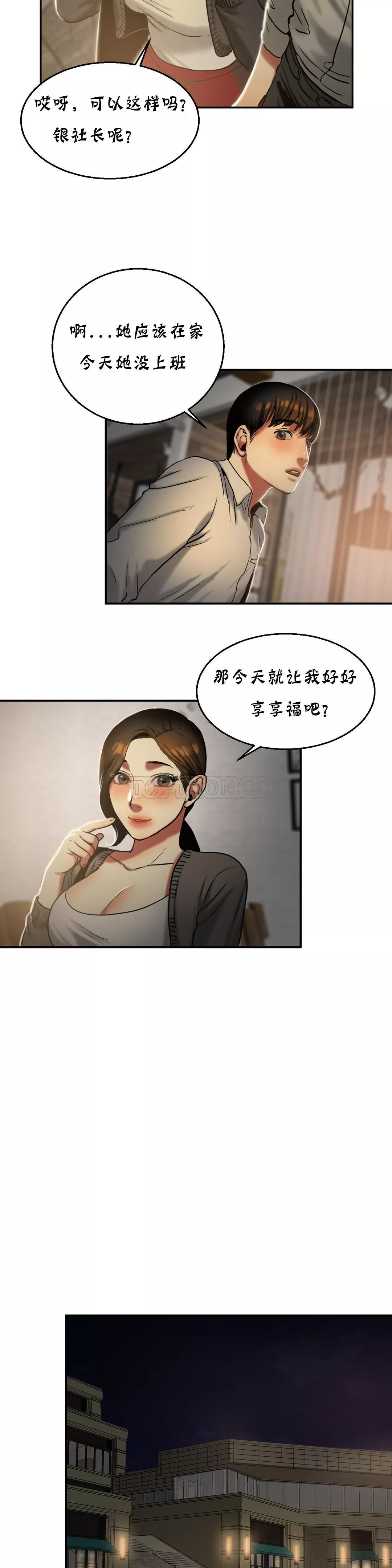 夫人的礼物第17章